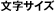 文字サイズ